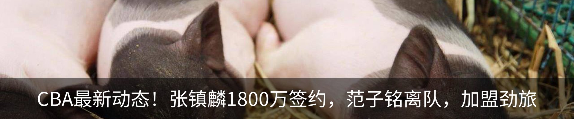 热点资讯